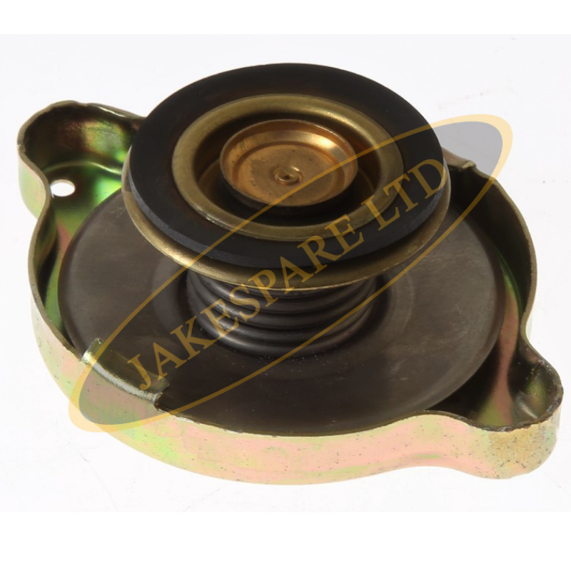 Radiator cap outlet seal
